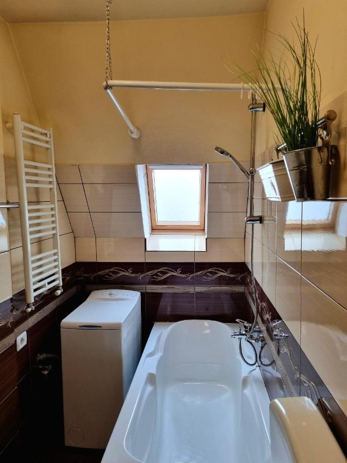 Iulius Town Charm Cozy Apartments ティミショアラ エクステリア 写真